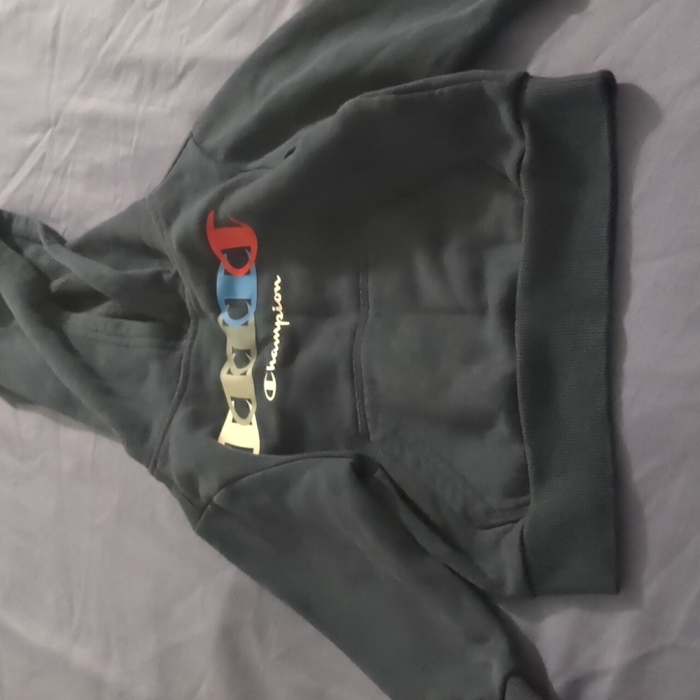 Champion Hoodie - Picture 3 of 5
